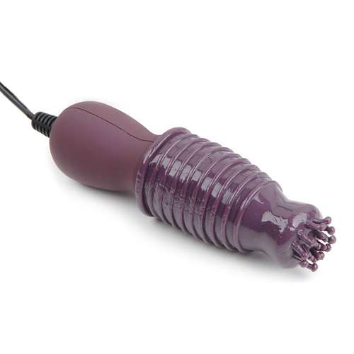 A000156purplex