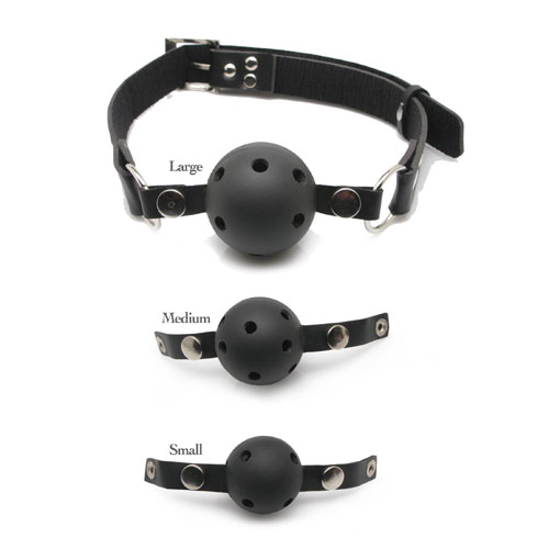 PD3841-00x