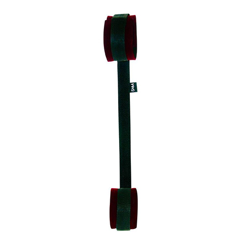 SS09923x