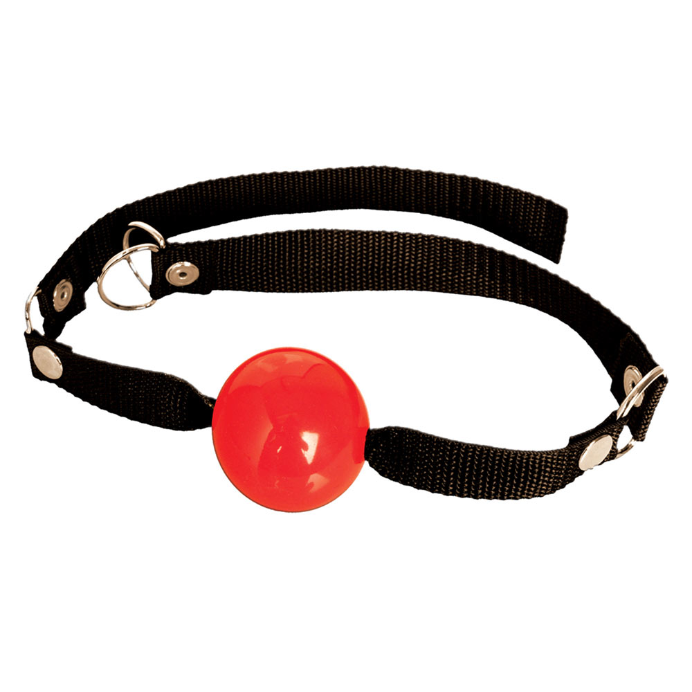 pd2161-15x2